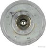 SUER 127552134 Indicator Insert